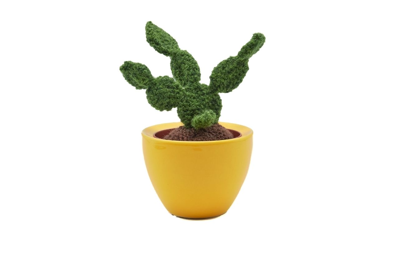 Never worry about over-watering again with these cute handmade